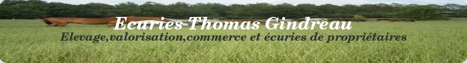 Ecuries Thomas Gindreau